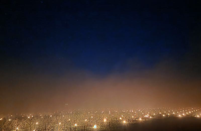 Frostschutzmaßnahmen