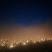 Frostschutzmaßnahmen