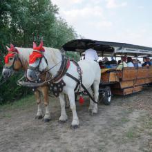 30 Jahre Obstbau Görnitz