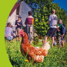 Hofladenfest am Samstag 26.09.2026